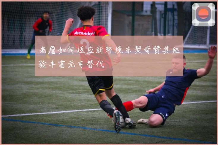 老詹如何适应新环境东契奇赞其经验丰富无可替代